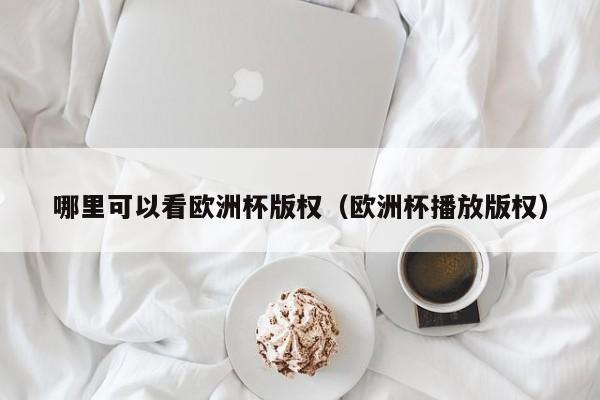 哪里可以看欧洲杯版权（欧洲杯播放版权）