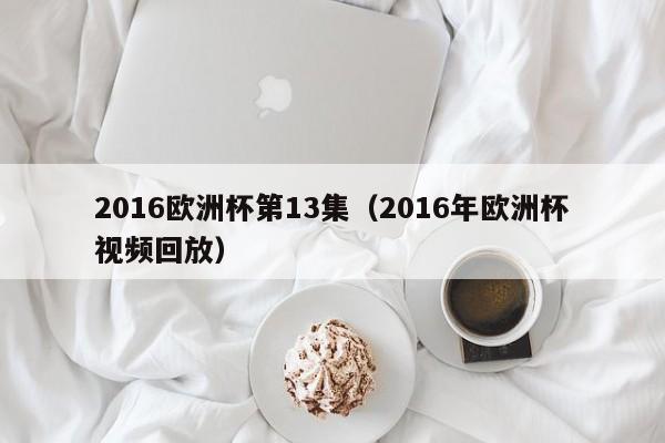 2016欧洲杯第13集（2016年欧洲杯视频回放）