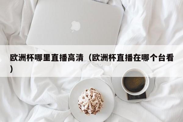 欧洲杯哪里直播高清（欧洲杯直播在哪个台看）