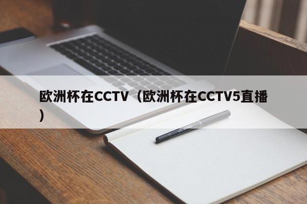 欧洲杯在CCTV（欧洲杯在CCTV5直播）