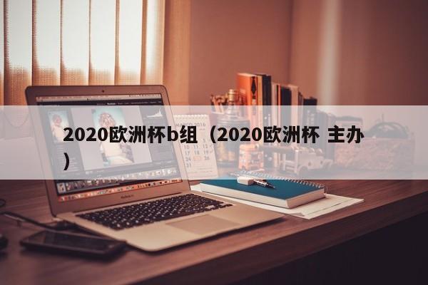 2020欧洲杯b组（2020欧洲杯 主办）