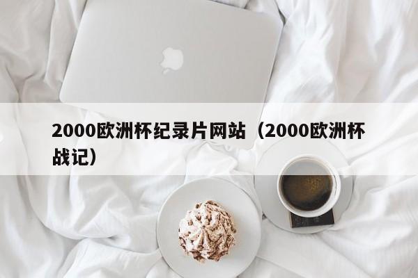 2000欧洲杯纪录片网站（2000欧洲杯战记）