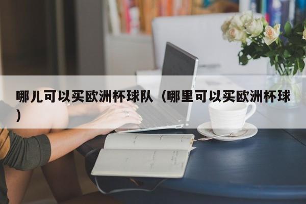 哪儿可以买欧洲杯球队（哪里可以买欧洲杯球）