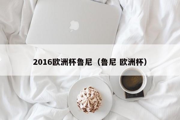 2016欧洲杯鲁尼（鲁尼 欧洲杯）