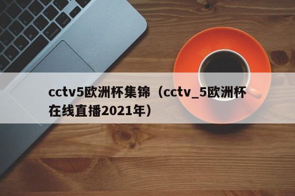 cctv5欧洲杯集锦（cctv_5欧洲杯在线直播2021年）