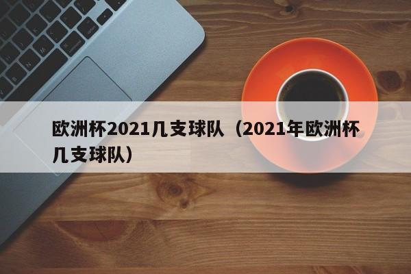 欧洲杯2021几支球队（2021年欧洲杯几支球队）