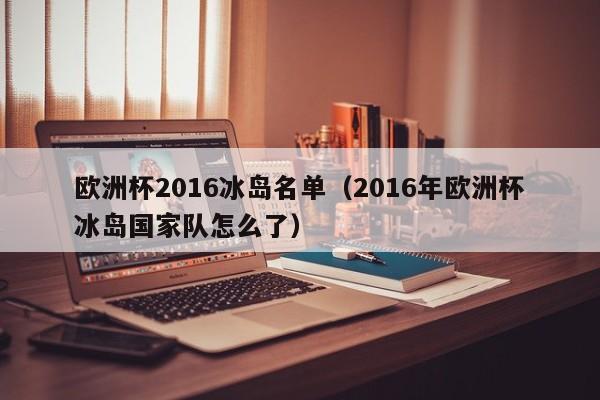 欧洲杯2016冰岛名单（2016年欧洲杯冰岛国家队怎么了）