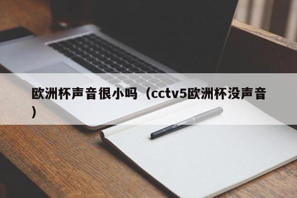 欧洲杯声音很小吗（cctv5欧洲杯没声音）