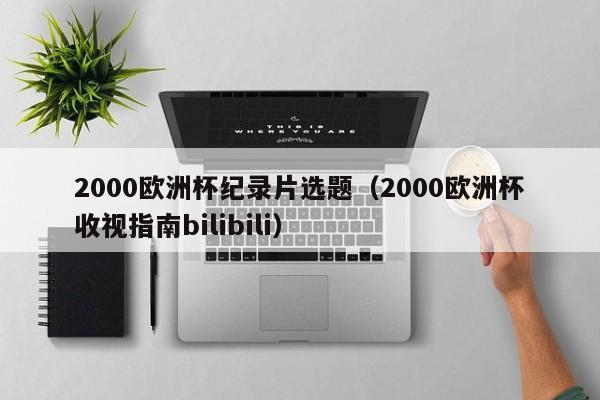 2000欧洲杯纪录片选题（2000欧洲杯收视指南bilibili）