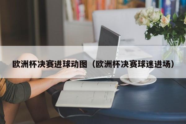 欧洲杯决赛进球动图（欧洲杯决赛球迷进场）