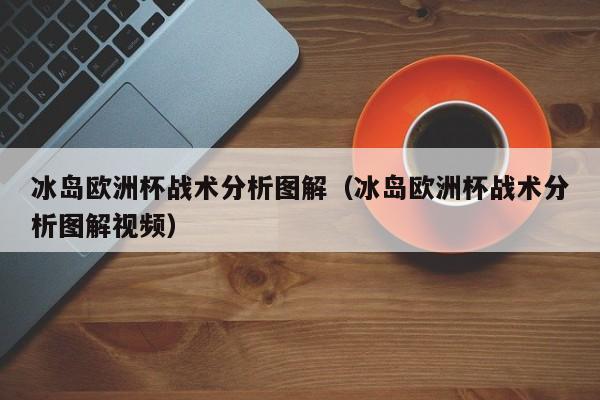 冰岛欧洲杯战术分析图解（冰岛欧洲杯战术分析图解视频）