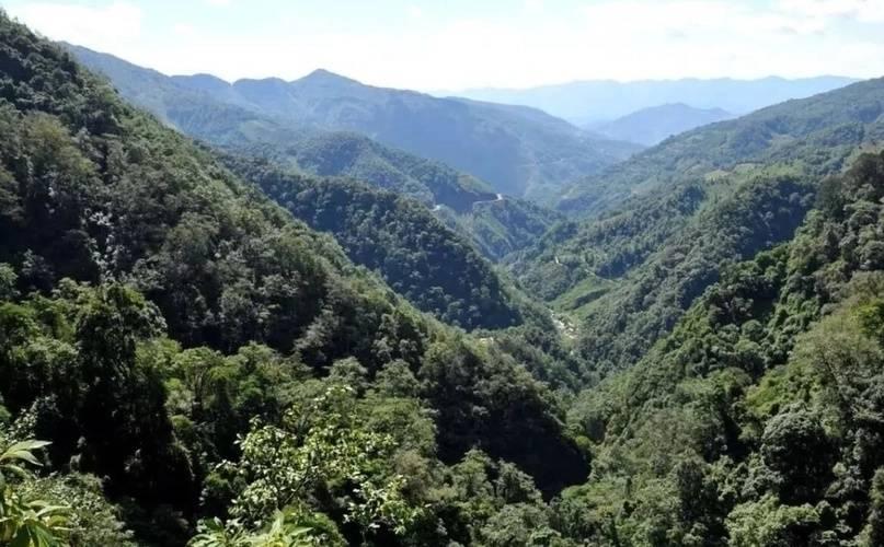 专家解读为何哀牢山是禁区(哀牢山区山有多高水有多高的原因)