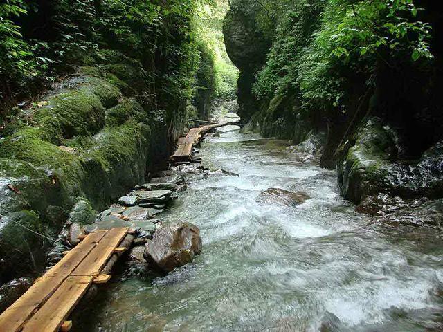 专家解读为何哀牢山是禁区(哀牢山区山有多高水有多高的原因)