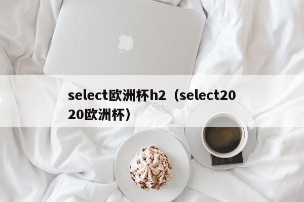 select欧洲杯h2（select2020欧洲杯）