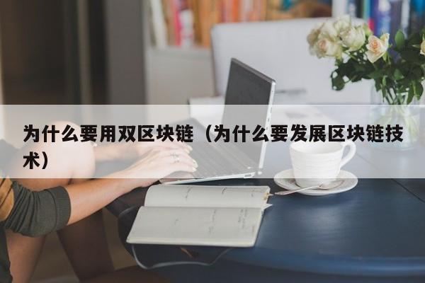 为什么要用双区块链（为什么要发展区块链技术）