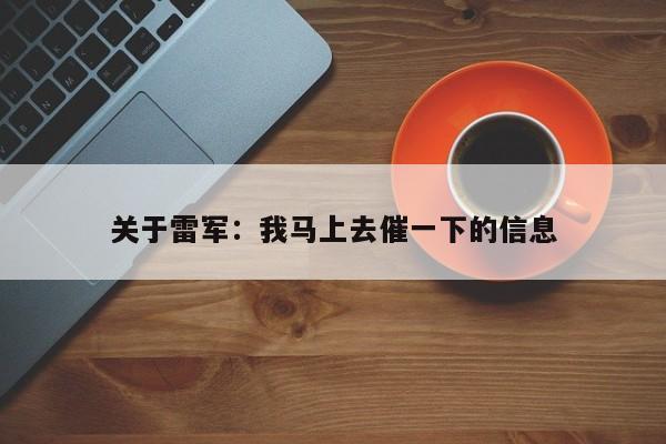 关于雷军：我马上去催一下的信息