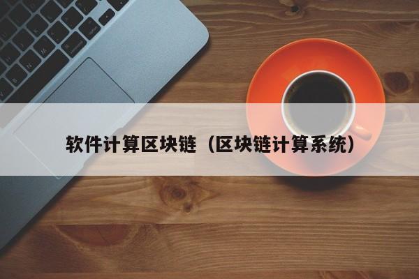 软件计算区块链（区块链计算系统）