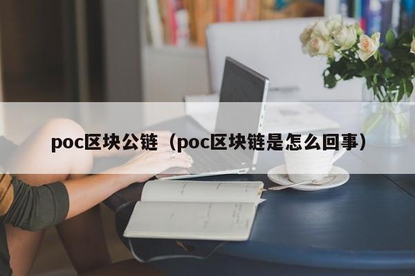 poc区块公链(poc区块链是怎么回事)