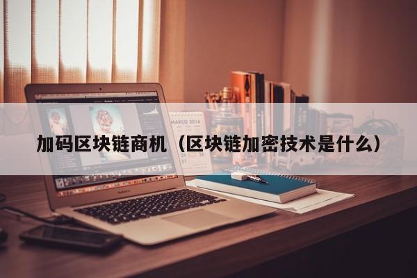 加码区块链商机(区块链加密技术是什么)