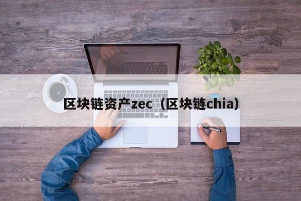 区块链资产zec（区块链chia）