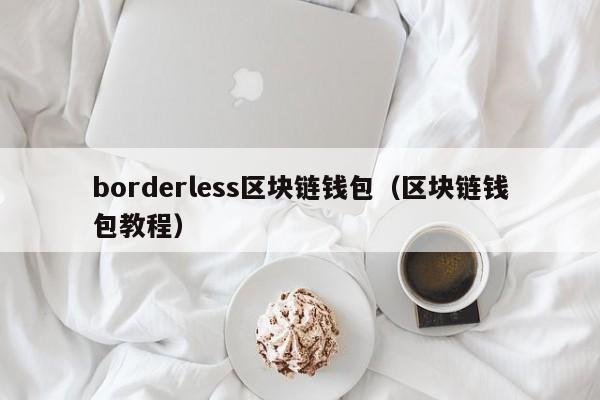 borderless区块链钱包（区块链钱包教程）