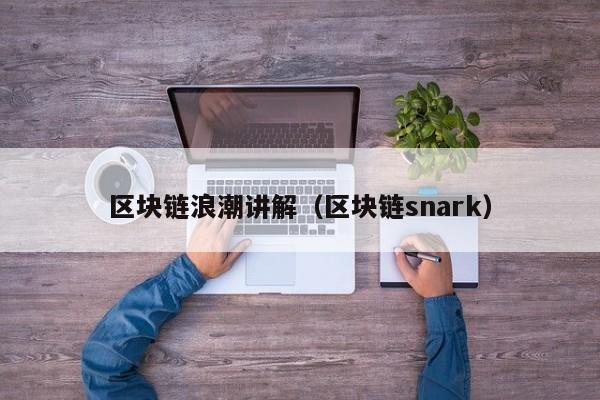 区块链浪潮讲解（区块链snark）