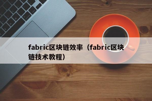 fabric区块链效率(fabric区块链技术教程)