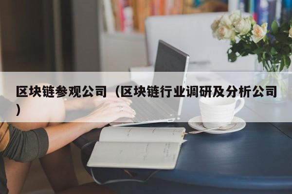 区块链参观公司（区块链行业调研及分析公司）