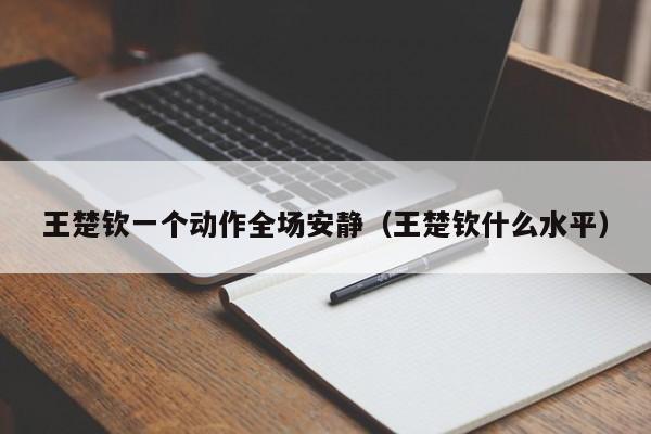 王楚钦一个动作全场安静（王楚钦什么水平）