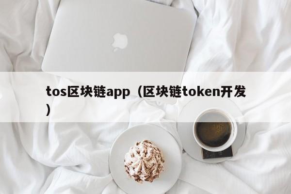 tos区块链app（区块链token开发）