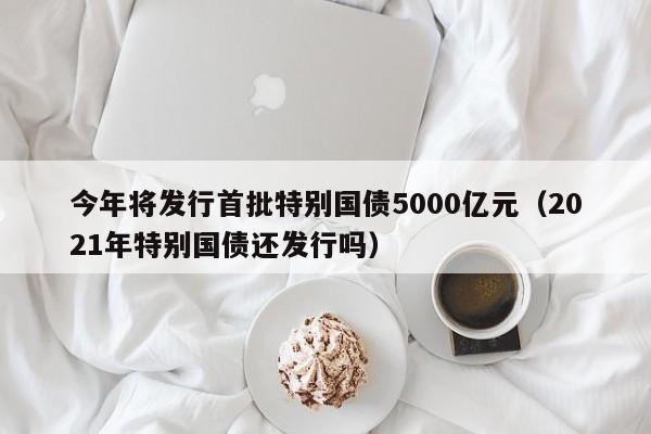 今年将发行首批特别国债5000亿元（2021年特别国债还发行吗）