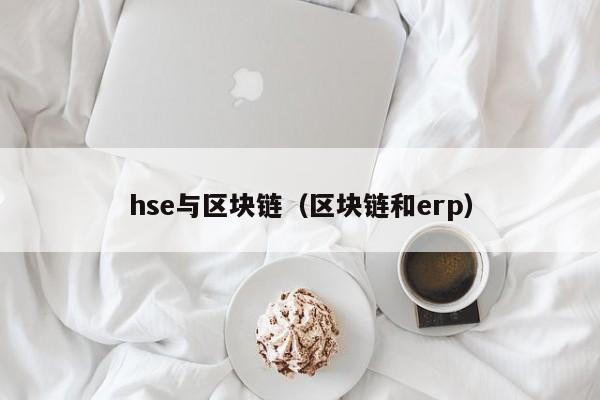 hse与区块链(区块链和erp)