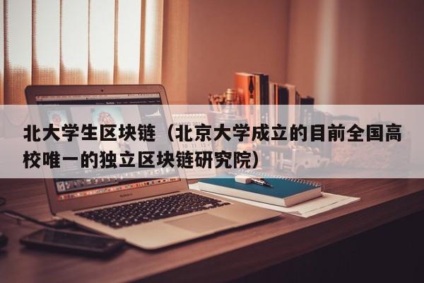 北大学生区块链（北京大学成立的目前全国高校唯一的独立区块链研究院）