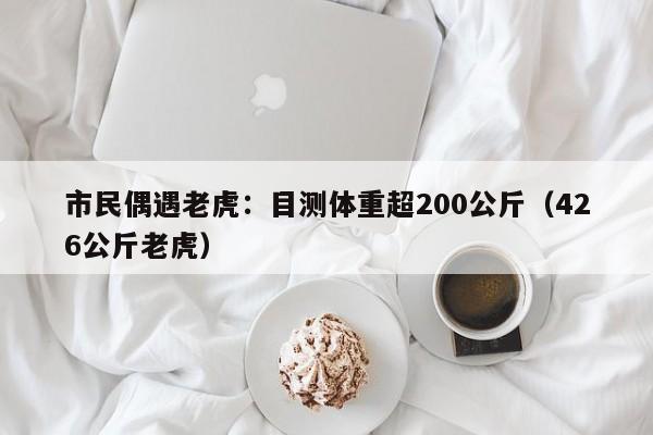 市民偶遇老虎：目测体重超200公斤（426公斤老虎）