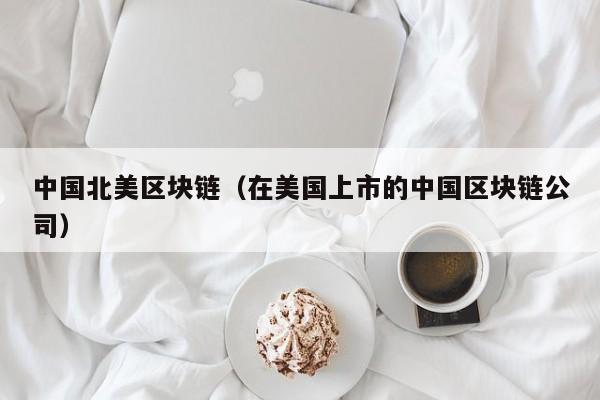 中国北美区块链(在美国上市的中国区块链公司)