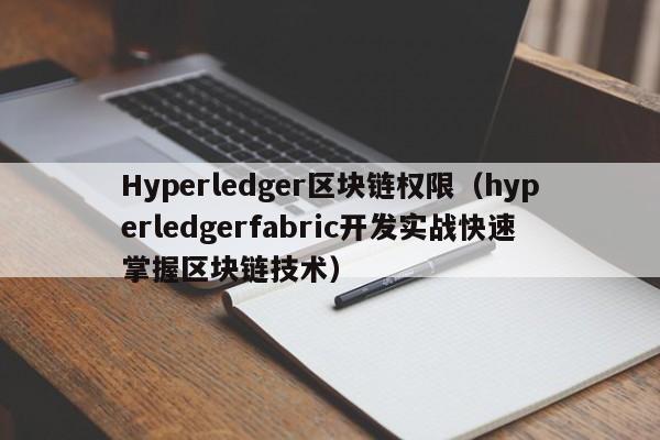 Hyperledger区块链权限（hyperledgerfabric开发实战快速掌握区块链技术）