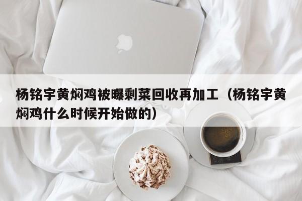 杨铭宇黄焖鸡被曝剩菜回收再加工（杨铭宇黄焖鸡什么时候开始做的）