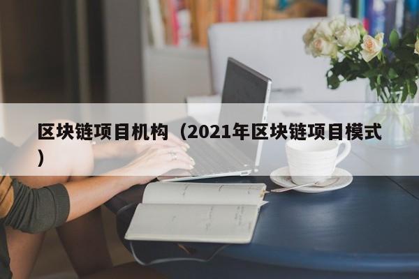 区块链项目机构（2021年区块链项目模式）