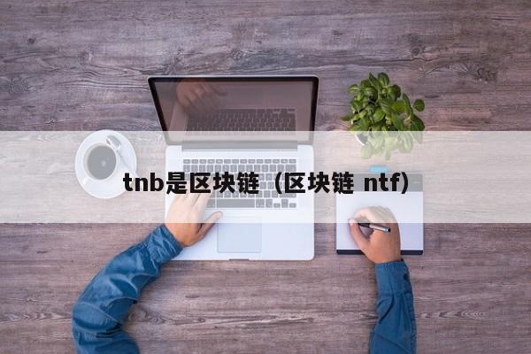 tnb是区块链（区块链 ntf）