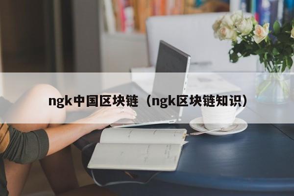 ngk中国区块链（ngk区块链知识）